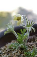 20110401_088.jpg