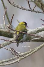 20110402_024.jpg