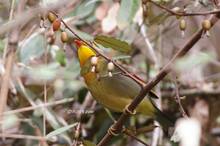 20110403_032.jpg