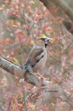 20110403_038.jpg