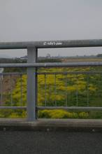 20110403_074.jpg