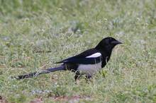 20110409_343.jpg