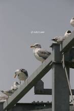 20110409_368.jpg