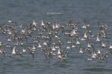 20110409_454.jpg