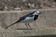 20110410_030.jpg