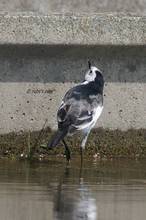 20110410_046.jpg