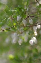 20110412_019.jpg