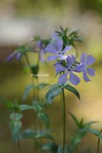 20110412_026.jpg