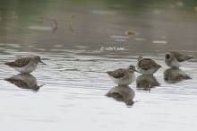 20110424_090.jpg