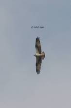 20110425_047.jpg