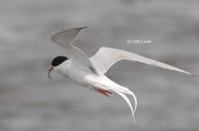 20110430_029.jpg