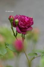 20110503_017.jpg