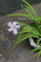 20110503_029.jpg