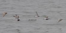 20110504_583.jpg