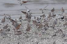 20110504_647.jpg