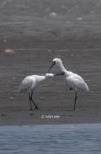 20110505_077.jpg