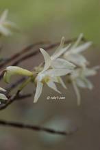 20110508_022.jpg