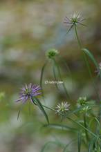 20110510_040.jpg