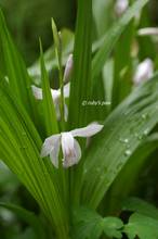 20110510_042.jpg
