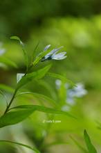 20110510_044.jpg