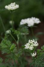 20110510_053.jpg