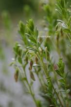 20110510_058.jpg