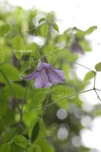 20110511_012.jpg