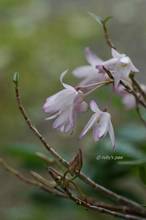 20110511_017.jpg