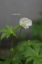 20110513_007.jpg