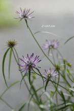 20110513_014.jpg