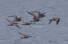 20110514_013.jpg