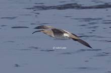 20110514_066.jpg