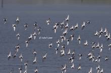 20110514_072.jpg