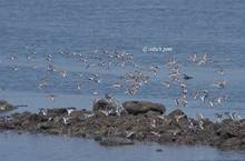 20110514_083.jpg