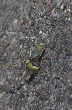 20110514_148.jpg