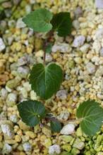 20110518_025.jpg