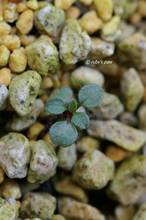 20110518_031.jpg
