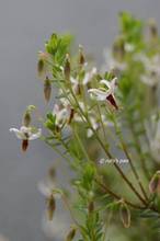 20110519_039.jpg