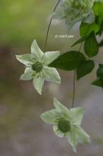 20110519_065.jpg