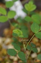 20110520_046.jpg