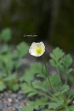 20110522_005.jpg