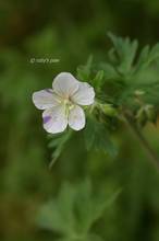 20110522_009.jpg