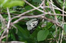 20110522_039.jpg