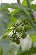 20110525_006.jpg