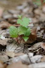 20110525_009.jpg