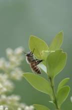 20110531_059.jpg