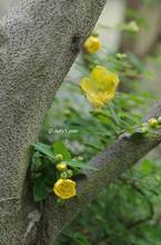 20110606_003.jpg