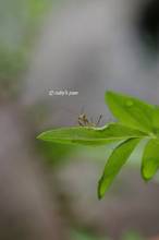 20110606_013.jpg