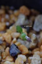 20110617_017.jpg