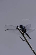 20110623_021.jpg